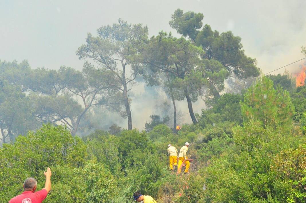 Manisa'da çıkan orman yangınında dumanlar İzmir'e ilerliyor 5